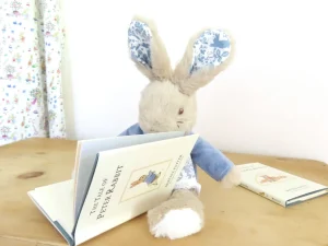 Beatrix Potter Peter Rabbit