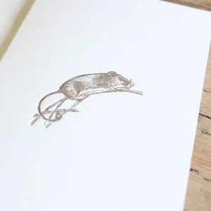 Cottontails handmade card - field mouse