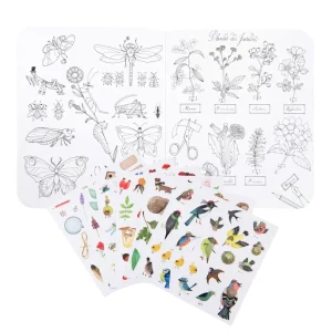 Moulin Roty botanist colouring & sticker book