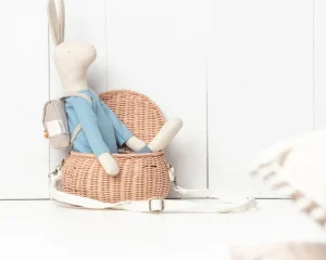 Mr Pickles Rupert the Rabbit