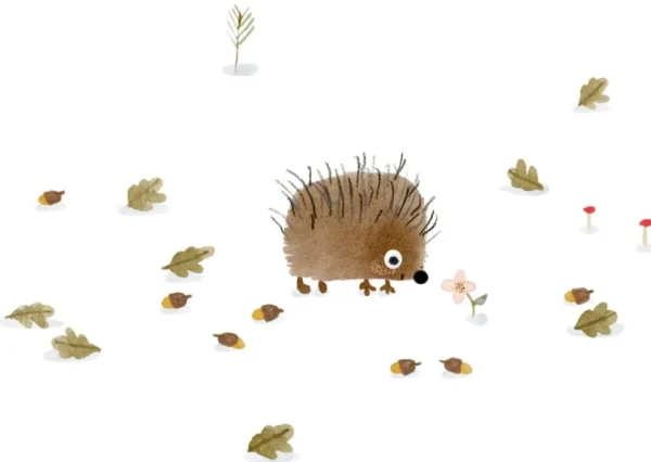 Postcard & Envelope - Little Hedgehog