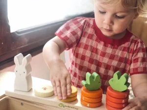 Tender Leaf Wooden Toy - Counting Carrots