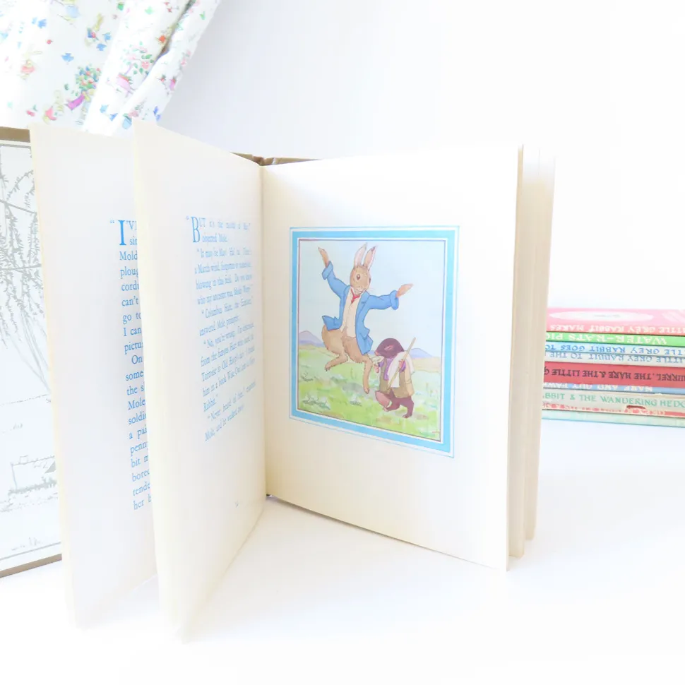 VINTAGE book - Moldy warp the Mole (1975)