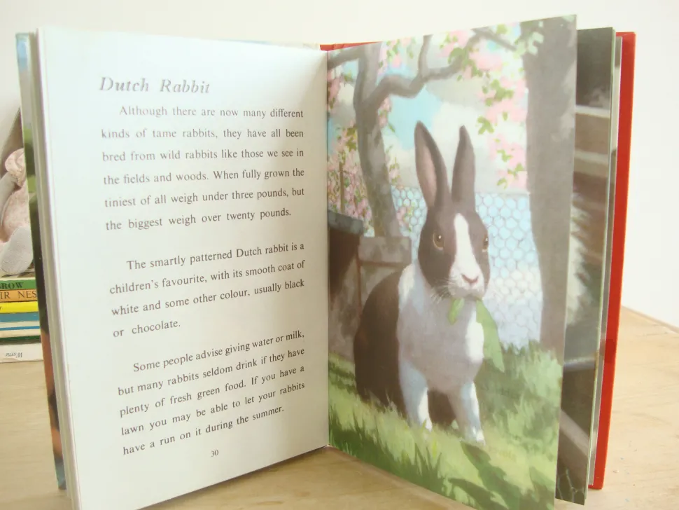 vintage_ladybird___book_o_3.webp VINTAGE Ladybird - Book of Pets (1967)