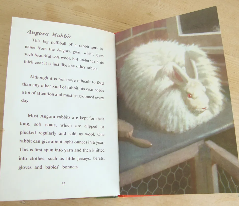 vintage_ladybird___book_o_5.webp VINTAGE Ladybird - Book of Pets (1967)