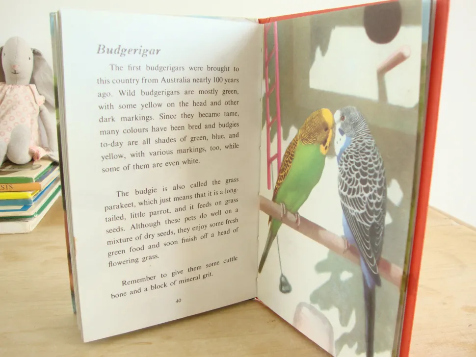 vintage_ladybird___book_o_6.webp VINTAGE Ladybird - Book of Pets (1967)