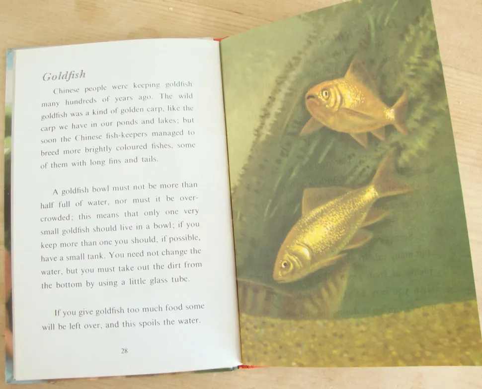 vintage_ladybird___book_o_7.webp VINTAGE Ladybird - Book of Pets (1967)