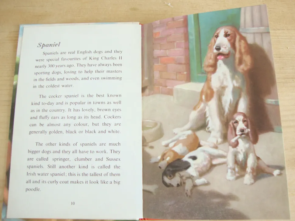 vintage_ladybird___book_o_8.webp VINTAGE Ladybird - Book of Pets (1967)