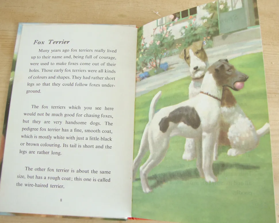 vintage_ladybird___book_o_9.webp VINTAGE Ladybird - Book of Pets (1967)