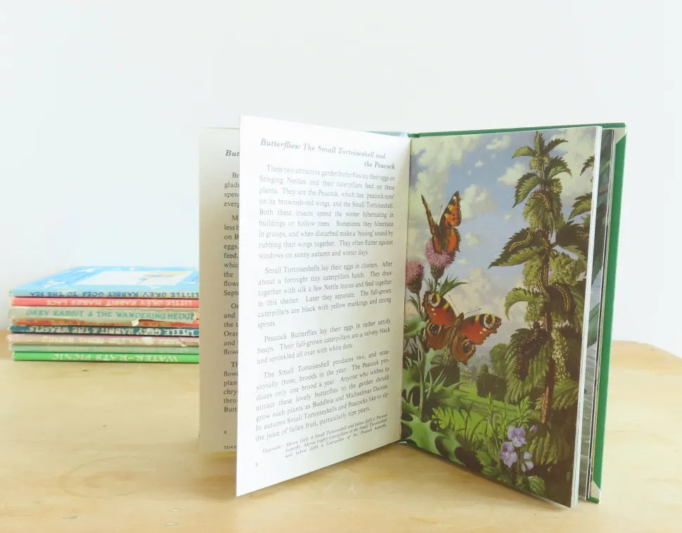 VINTAGE Ladybird book - Butterflies. Moths and Other Insects (1974/5)