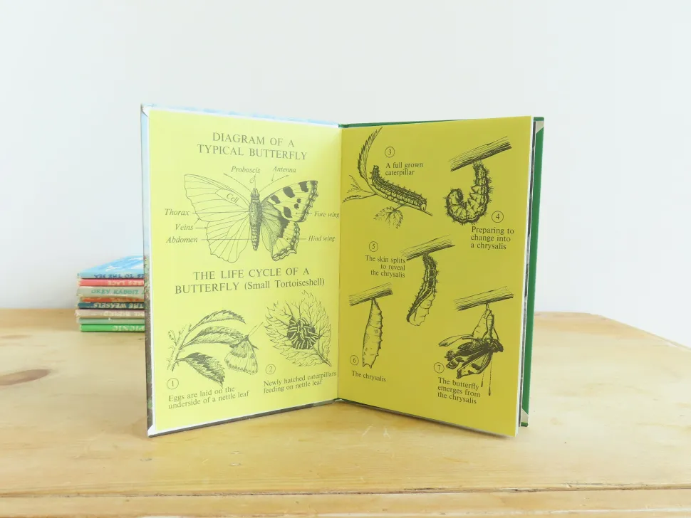 VINTAGE Ladybird book - Butterflies. Moths and Other Insects (1974/5)