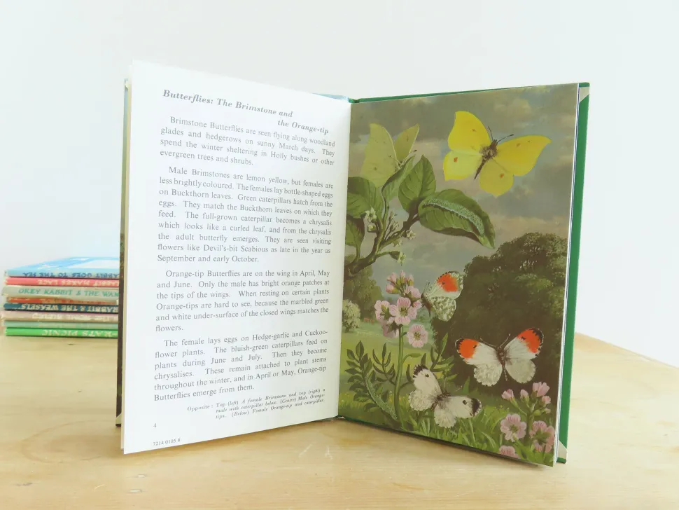 VINTAGE Ladybird book - Butterflies. Moths and Other Insects (1974/5)