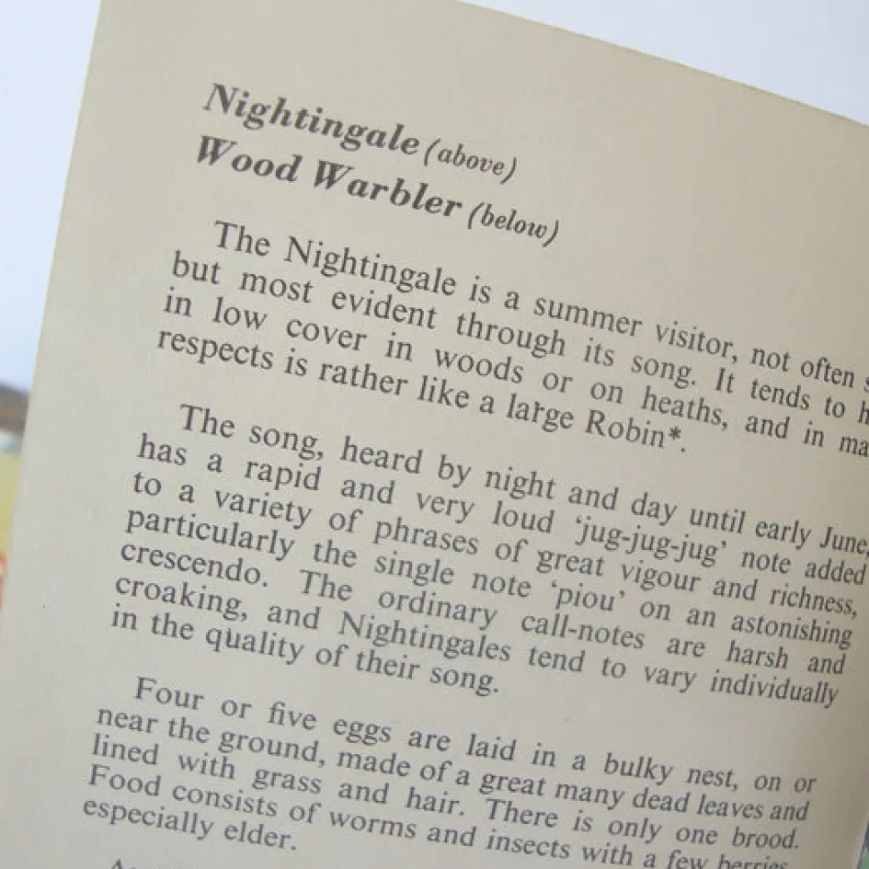 vintage_ladybird_book___h_2.webp VINTAGE Ladybird book - Heath & Woodland Birds (mid 1970s)