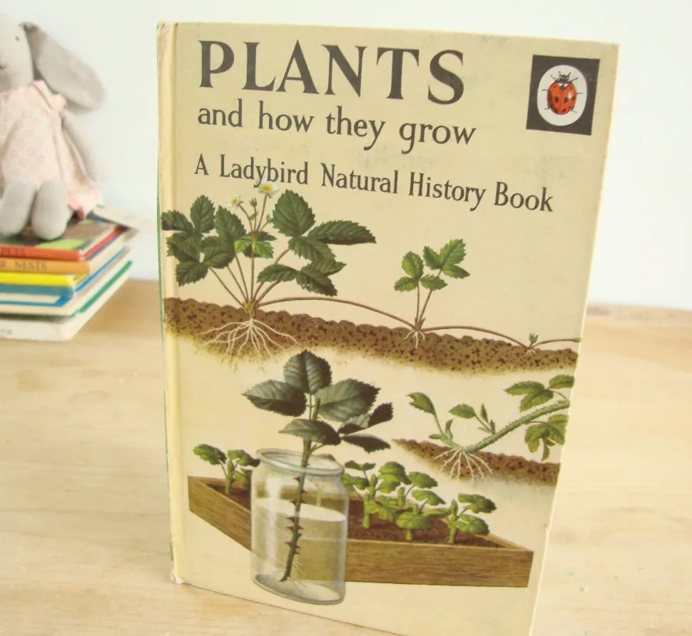 VINTAGE Ladybird book - Plants and how they Grow (c. 1971)