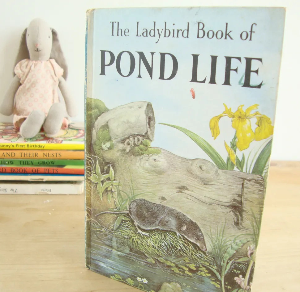 VINTAGE Ladybird book - Pond Life (1966)