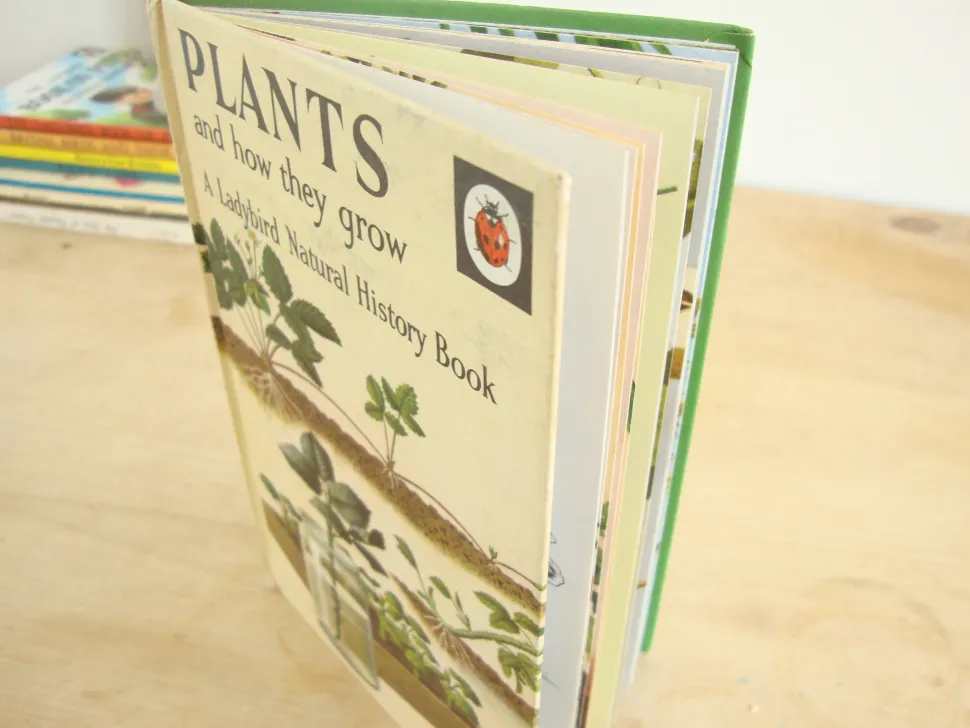VINTAGE Ladybird book - Plants and how they Grow (c. 1971)