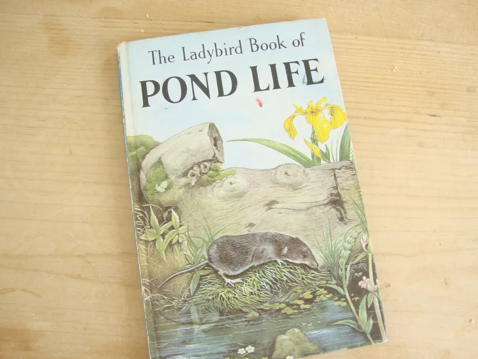 VINTAGE Ladybird book - Pond Life (1966)