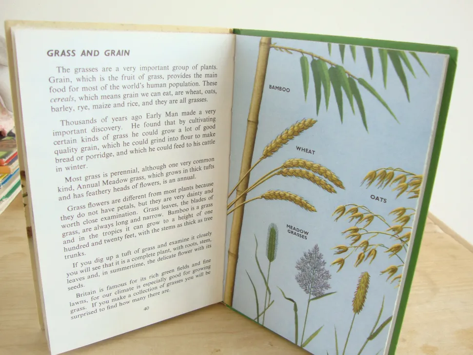 VINTAGE Ladybird book - Plants and how they Grow (c. 1971)
