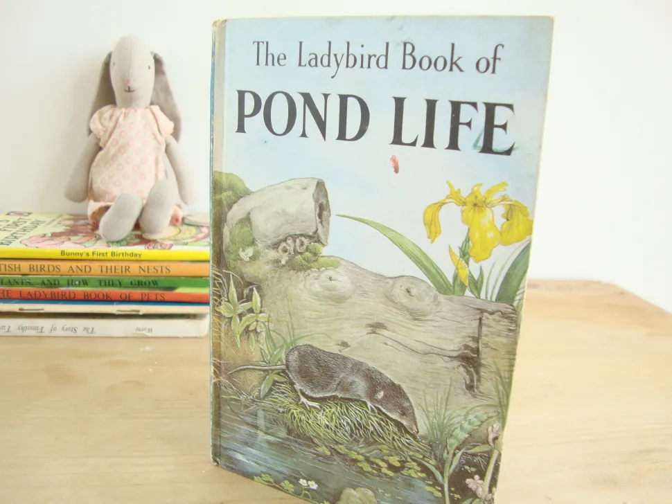VINTAGE Ladybird book - Pond Life (1966)