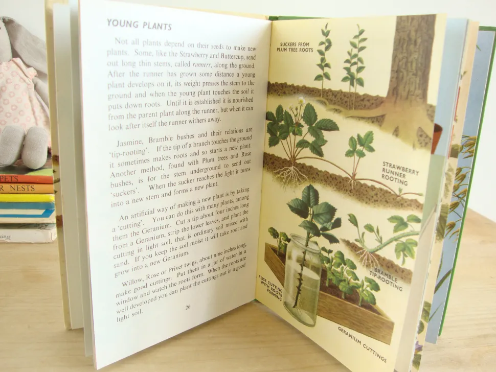 VINTAGE Ladybird book - Plants and how they Grow (c. 1971)
