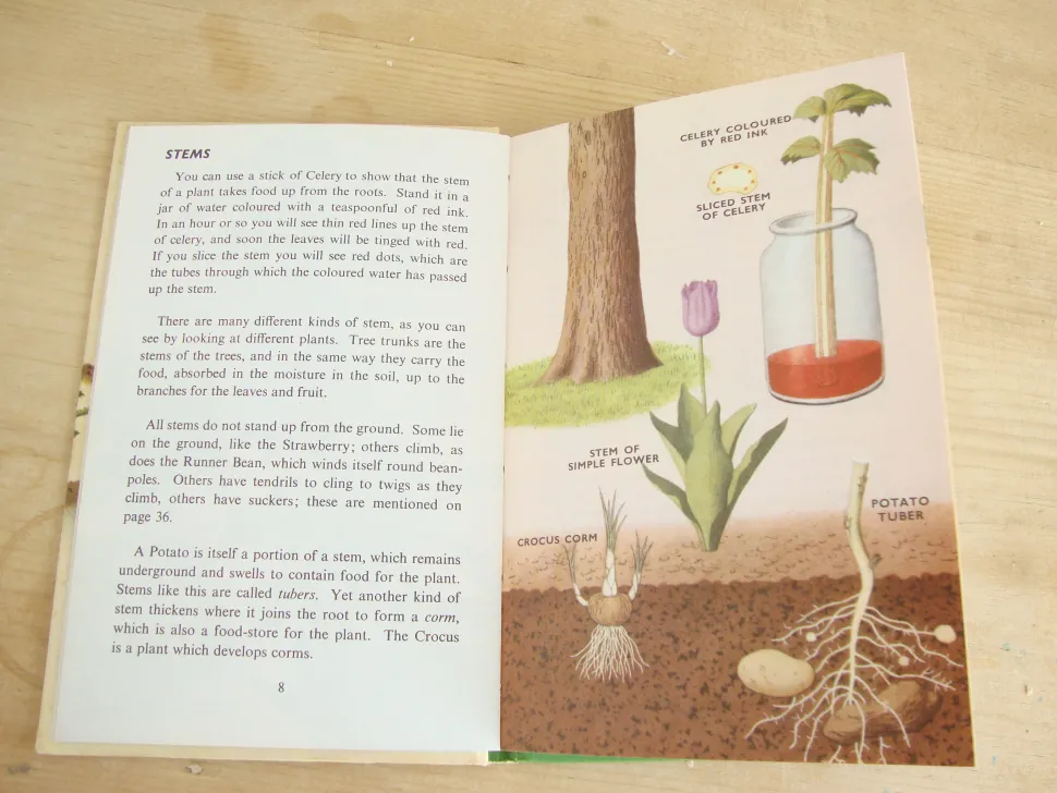 VINTAGE Ladybird book - Plants and how they Grow (c. 1971)