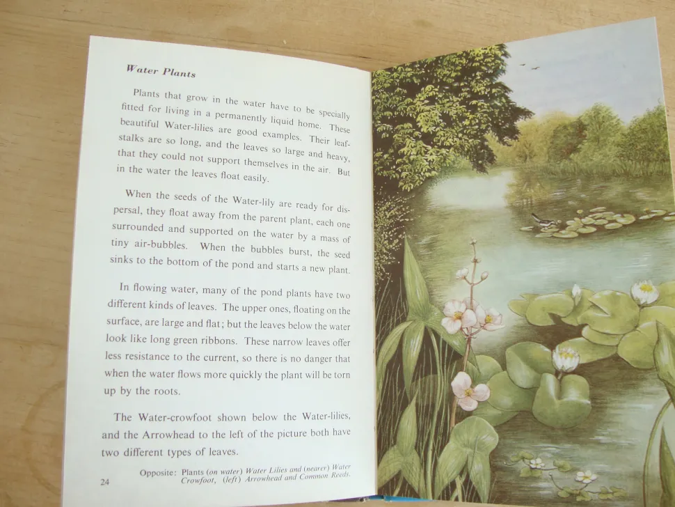 VINTAGE Ladybird book - Pond Life (1966)