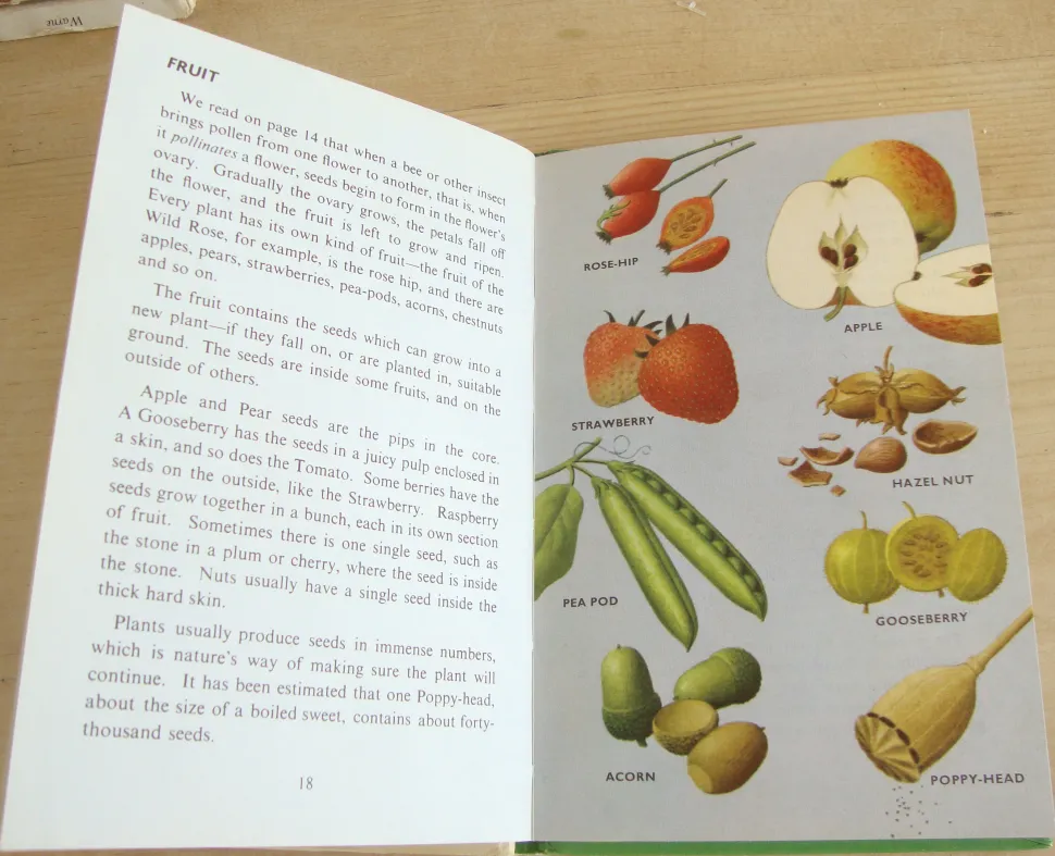 VINTAGE Ladybird book - Plants and how they Grow (c. 1971)