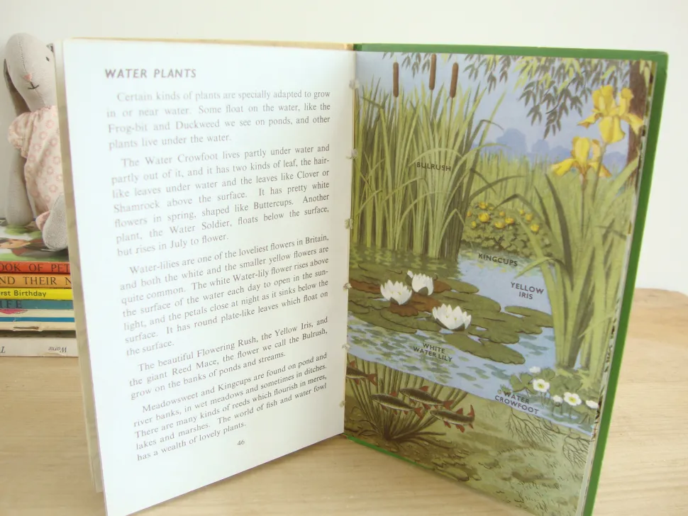 VINTAGE Ladybird book - Plants and how they Grow (c. 1971)