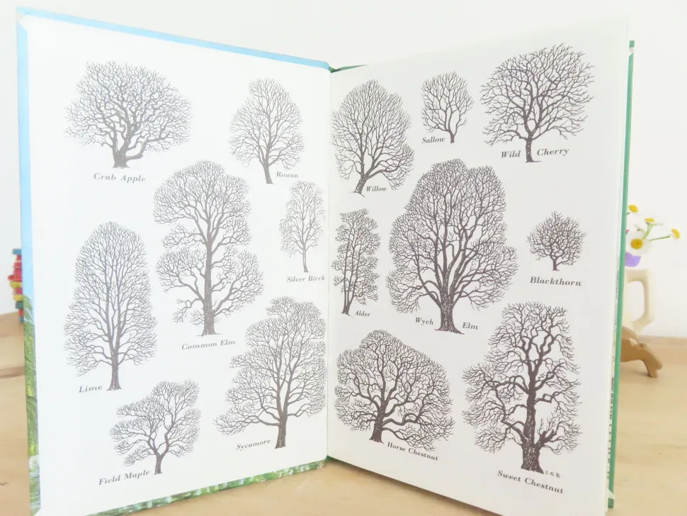 VINTAGE Ladybird book - Trees (1970s)