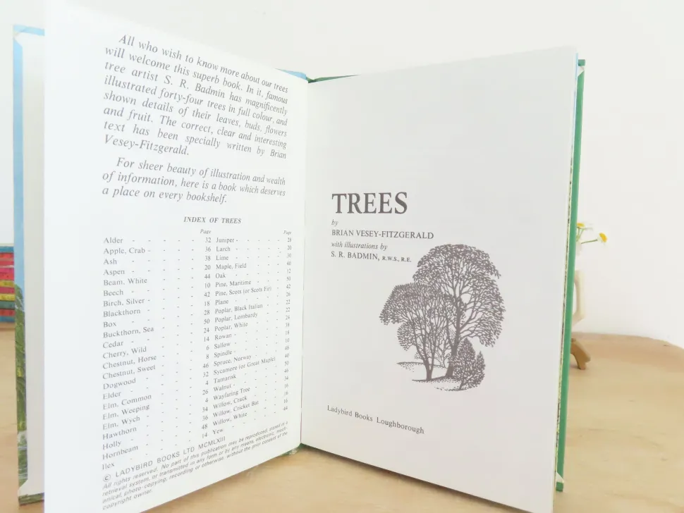 VINTAGE Ladybird book - Trees (1970s)