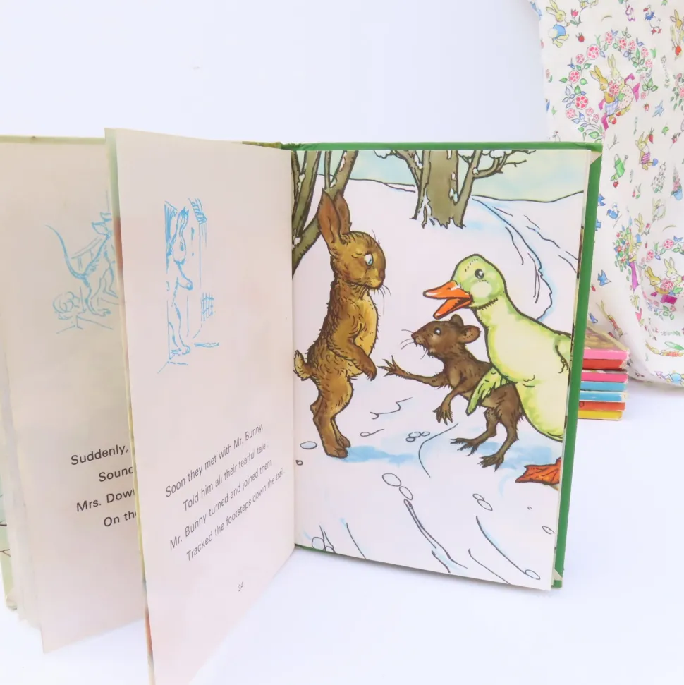 VINTAGE Ladybird book - Downy Duckling (1974)