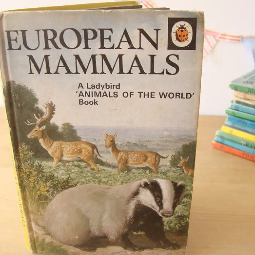 VINTAGE Ladybird book - European Mammals (early 1970s)