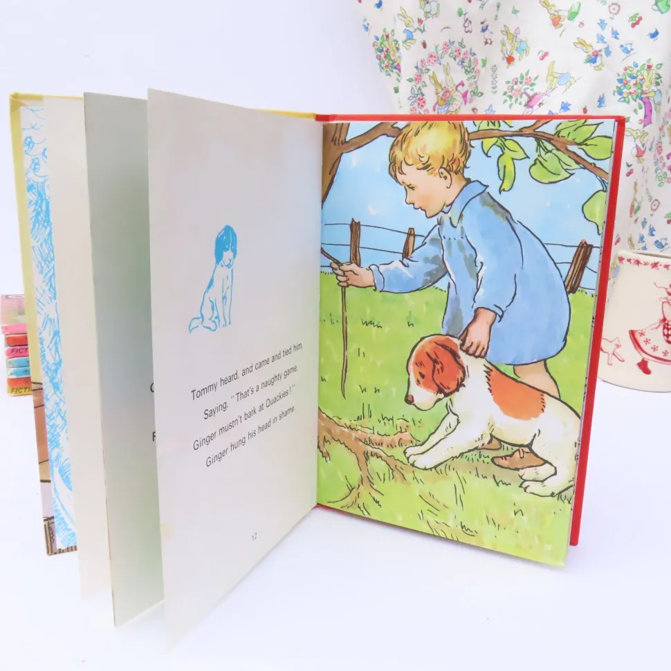 vintage_ladybird_book__gi_1.webp VINTAGE Ladybird book - Ginger's Adventures (1974)