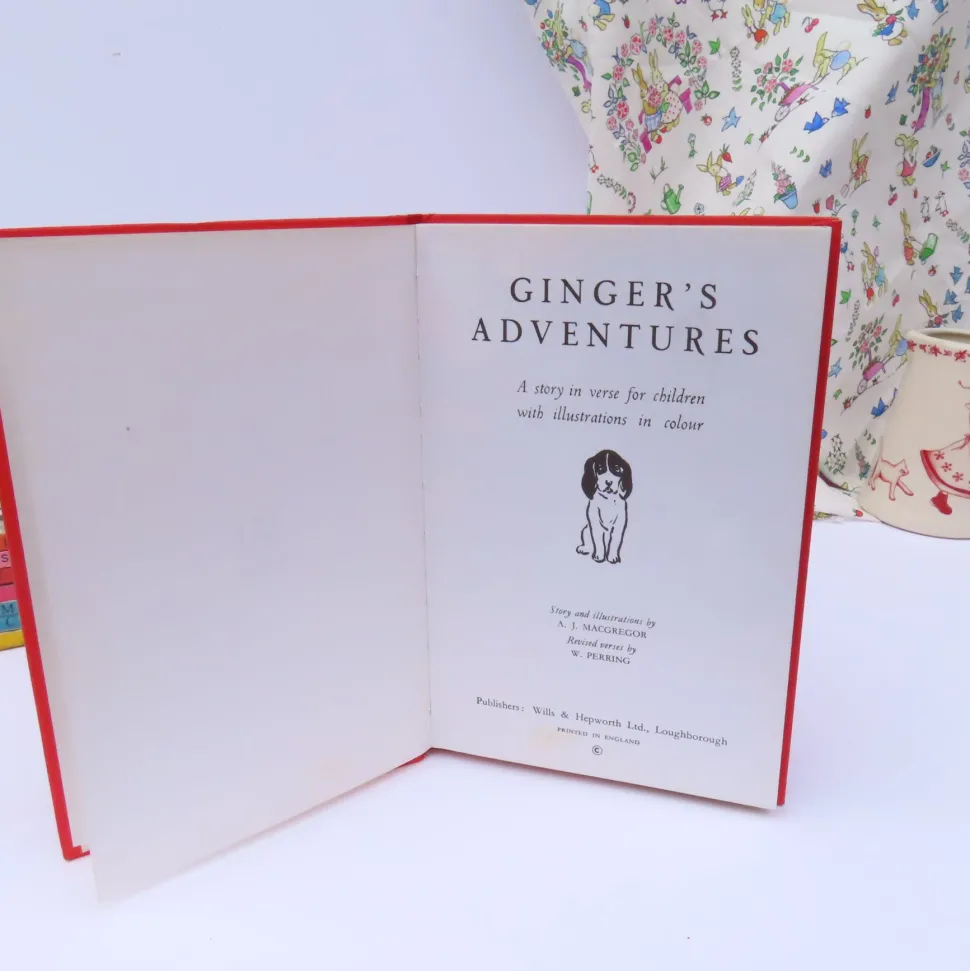 vintage_ladybird_book__gi_3-1.webp VINTAGE Ladybird book - Ginger's Adventures (mid 1960s)