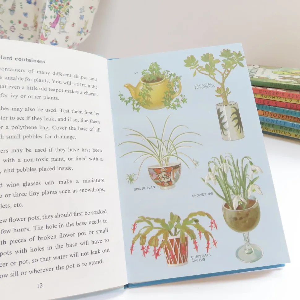 vintage_ladybird_book__in_1.webp VINTAGE Ladybird book - Indoor Gardening (c.1971)