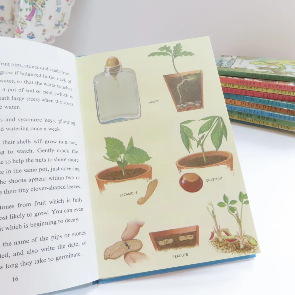 vintage_ladybird_book__in_2.webp VINTAGE Ladybird book - Indoor Gardening (c.1971)