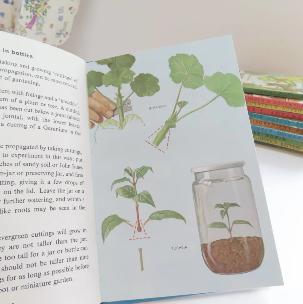 vintage_ladybird_book__in_3.webp VINTAGE Ladybird book - Indoor Gardening (c.1971)