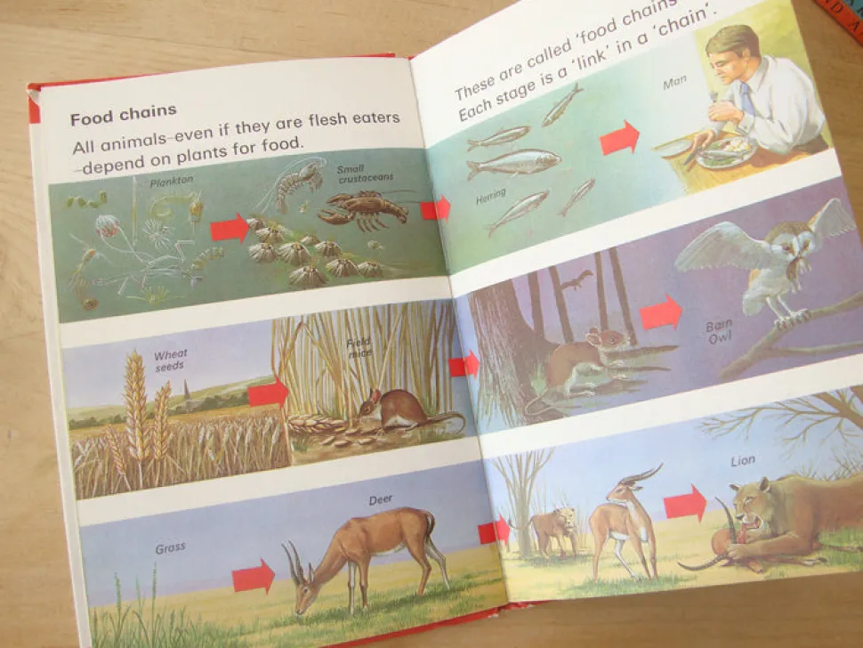 VINTAGE Ladybird book - Living Things (mid-late 1970s)