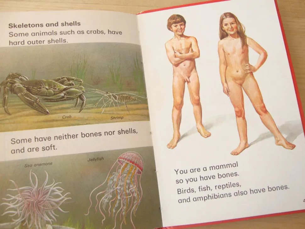 VINTAGE Ladybird book - Living Things (mid-late 1970s)