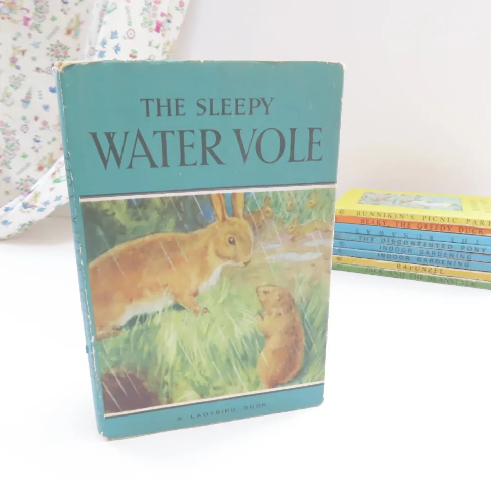 VINTAGE Ladybird book - The Sleepy Water Vole with DJ (late 1950s)