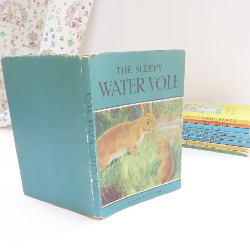 VINTAGE Ladybird book - The Sleepy Water Vole with DJ (late 1950s)