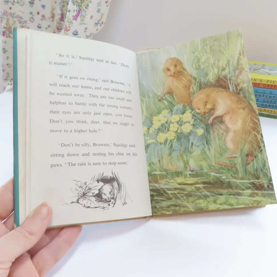 VINTAGE Ladybird book - The Sleepy Water Vole with DJ (late 1950s)