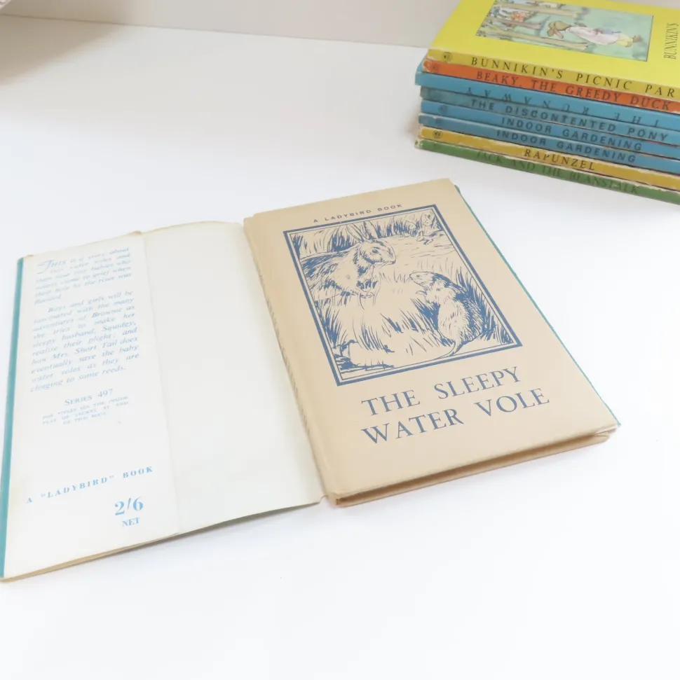 VINTAGE Ladybird book - The Sleepy Water Vole with DJ (late 1950s)