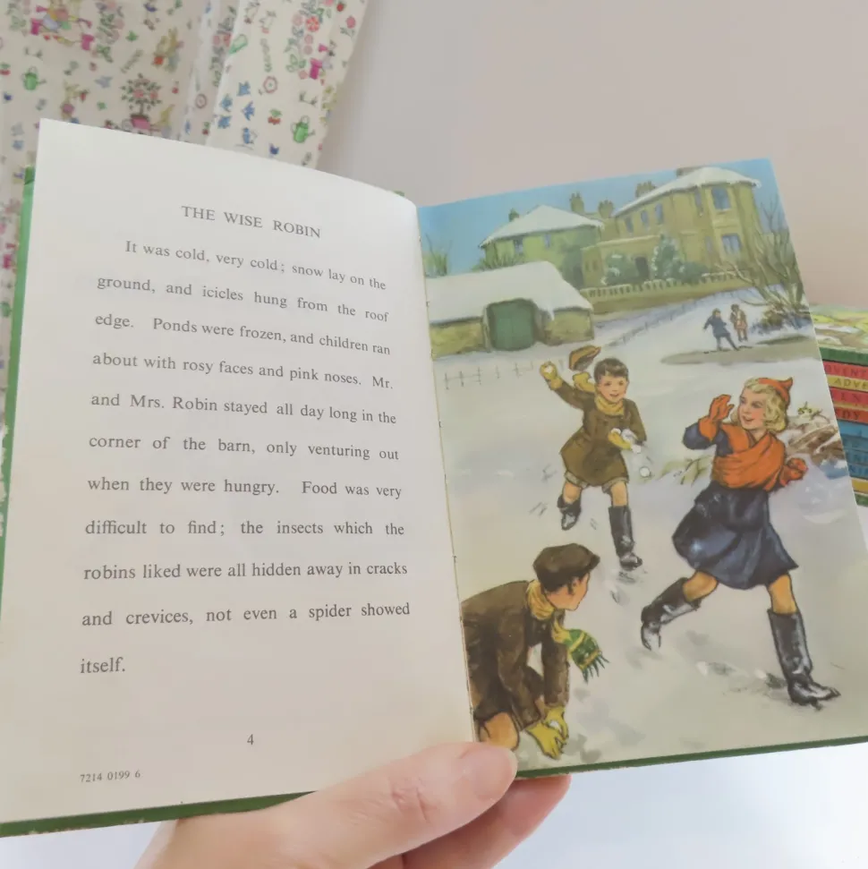VINTAGE Ladybird book - The Wise Robin (c.1970)