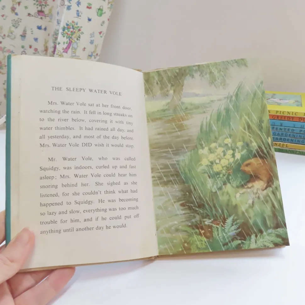 VINTAGE Ladybird book - The Sleepy Water Vole with DJ (late 1950s)