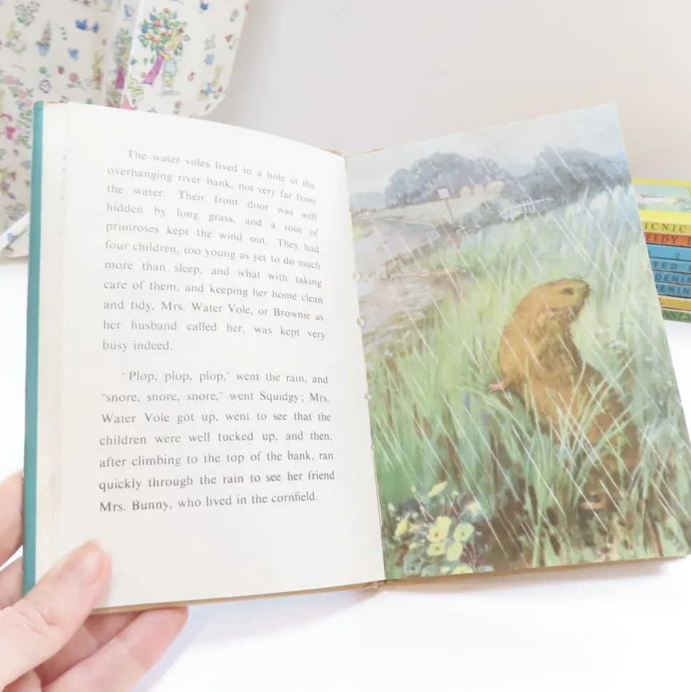 VINTAGE Ladybird book - The Sleepy Water Vole with DJ (late 1950s)