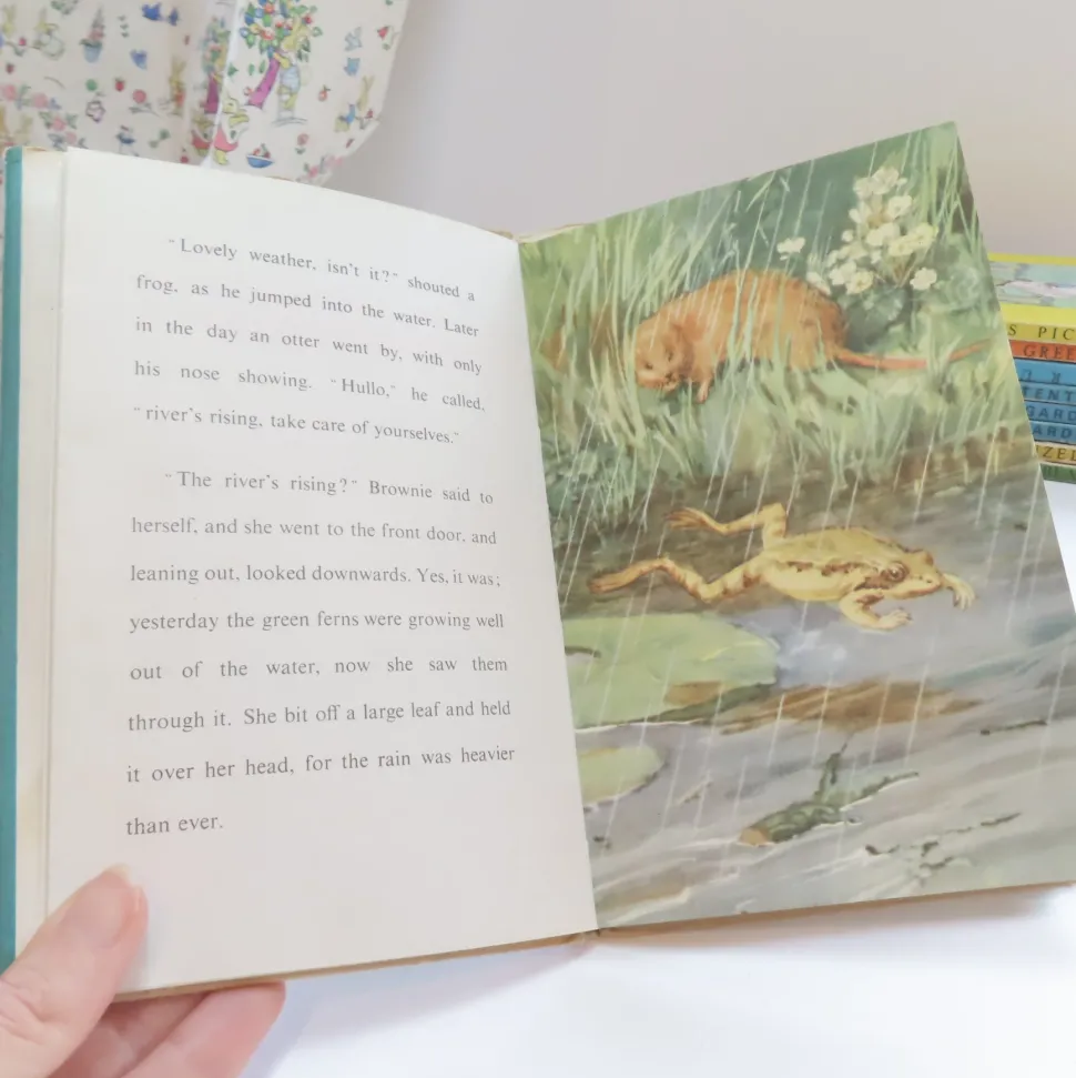 VINTAGE Ladybird book - The Sleepy Water Vole with DJ (late 1950s)